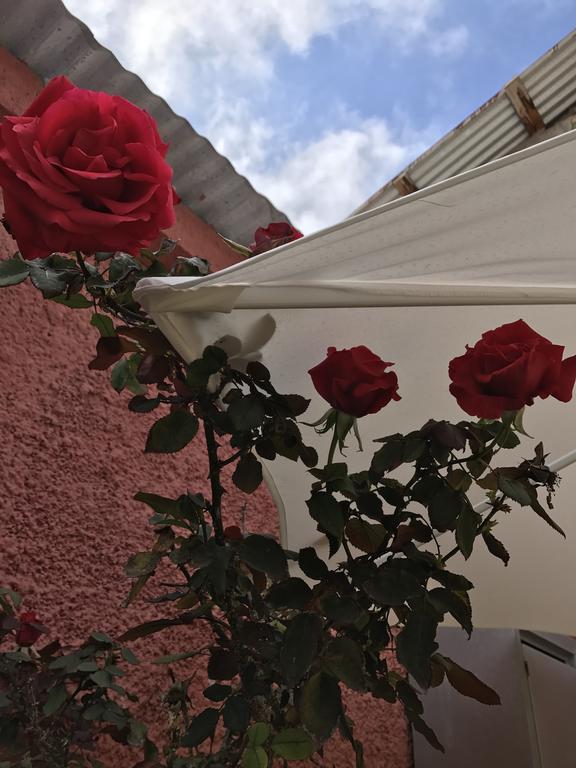 Hostal Avenue La Serena Exteriör bild