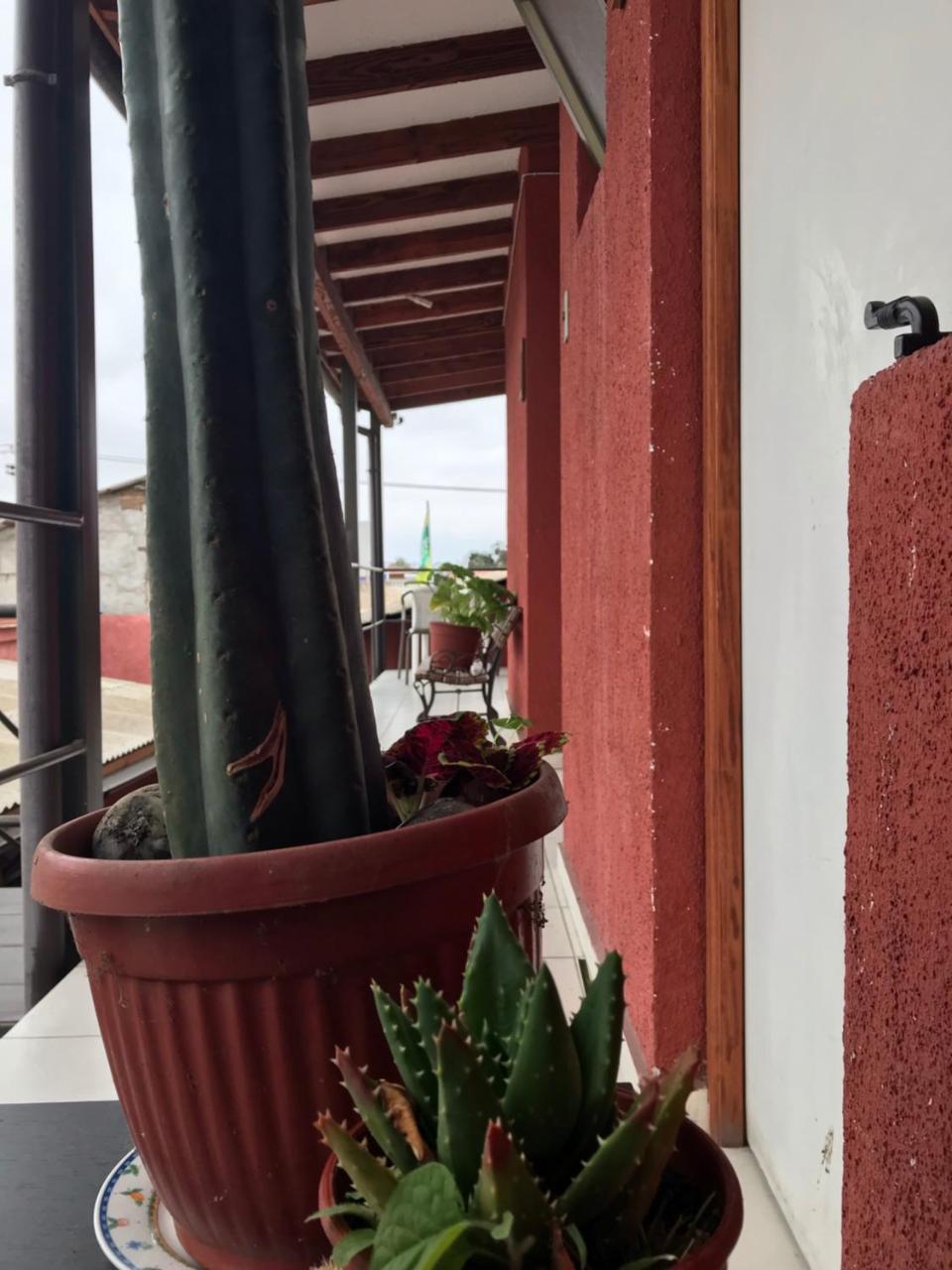 Hostal Avenue La Serena Exteriör bild